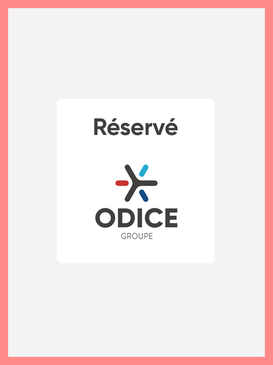 ARRIERE BAR 2 PORTES BATTANTES INOX - ALT0008600